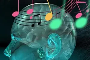 brain-waves.webp